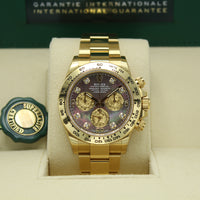 Cosmograph Daytona 116508 (Tahitian Mother Of Pearl Diamond Dial)