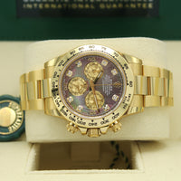 Cosmograph Daytona 116508 (Tahitian Mother Of Pearl Diamond Dial)