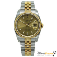 Datejust 36 116233 NOS Unworn Stickers (Champagne Baton Dial)