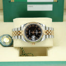 Datejust 36 116231 (Black Roman Numeral Dial)