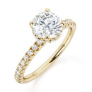 Round Brilliant Hidden Halo with Diamond Set Band