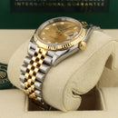 Datejust 36 126233 (Champagne Diamond Dial)