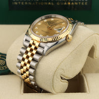 Datejust 36 126233 (Champagne Diamond Dial)